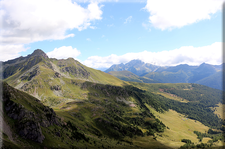 foto Forcella Pala del Becco